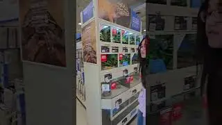 Just browsing.. for now 😅 #petsmart #fishes