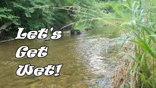 Wade Through Fry's Run Creek - We Get Wet!! episode 204