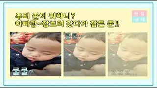 [랑준] 귀여운 아기 준이가 롯데마트에서 잠이 들었어요.