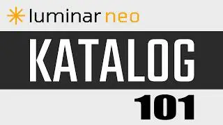 Luminar Neo Katalog: Das 1x1 wie der Katalog aufgebaut ist #02