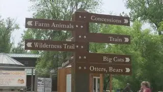 Zoo Safety