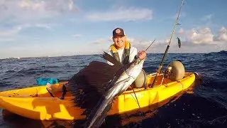 Winter Time Sailfish In South Florida - DEEP BLUE Kayak Fishing Charters