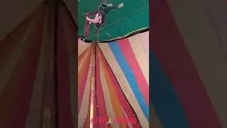 royal circus 🎪 and so