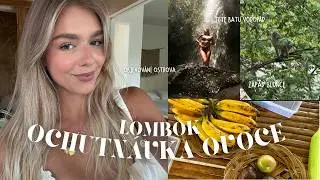 #19 VLOG | HADÍ OVOCE?! 😳 OPICE VŠUDE, VODOPÁDY A RÝŽOVÁ POLE 🌴🌊 | LOMBOK