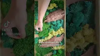 Preserved moss wall for my workstation 🖼️ #mosswall #DİY #nature