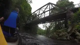 Cedar River Float - 2019