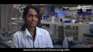PhD School in Life Sciences - UNIGE-  PhD students inetrviews: key to success