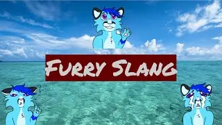 Furry Slang!