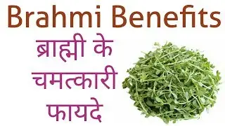 Brahmi ke faide | Brahmi Benefits Hindi/Urdu