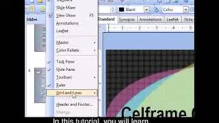 How to use view in Celframe Power Presentation?