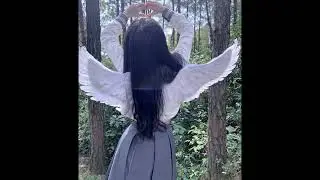 𝗠𝗮𝗻𝘀𝗶𝗼𝗻