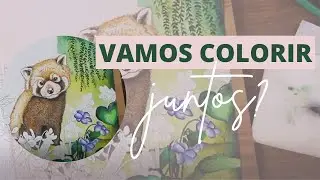 Vamos colorir juntos? - Técnica Mista em Livro de Colorir