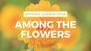 🌷Among The Flowers: Botanic Garden Tour