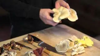 Cooking and Preparing Gourmet Mushrooms