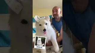 The Best Custom Gift for Pet Loss | MyPetsies&copy;
