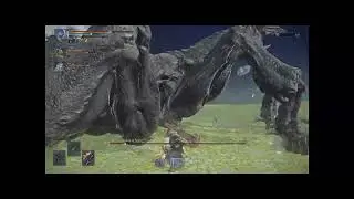 dogshit fromsoft game fairness
