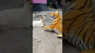 FAKE TIGER vs CAT FUNNY VIDEO-27#funny #faketigerprank #comedy #cat
