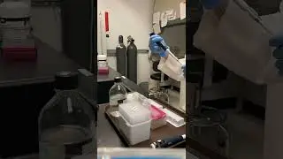 Undergraduate Student Researcher Renee Smith in the Lab