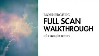 Bioenergetic Full Scan Example | A Total Body Test