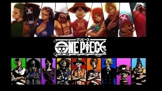 One Piece: Straw hat  (Mugiwara) pirates members's evolution