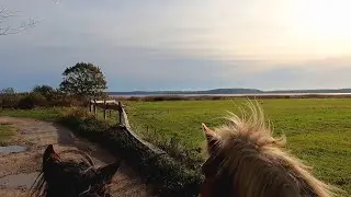 Ausritt auf Rügen mit Strandritt - Längere Version