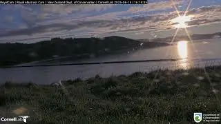 Watch the Dunner Stunner sunset with SSTrig