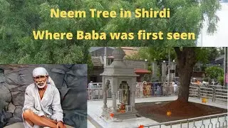 The Story Behind Neem Tree at SHIRDI | SHIRDI SAI BABA