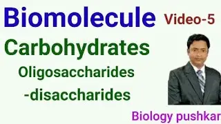 Biomolecules class 11 Biology | Carbohydrates - Oligosaccharides | Disaccharides | Biology pushkar
