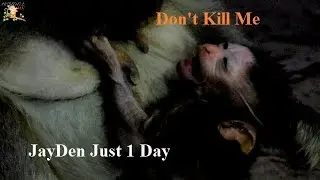 STOP STOP PLEASE MOM !!! Pity newborn Jayden get mom Jade catch of head warning her |