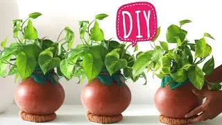 DIY Money Plant Ideas | money plant decoration ideas | home decorating ideas