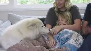 UltraPak MINI | Packable Puffy Blanket For Kids