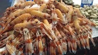 Open Air Market - Cadiz Portugal - ECTV
