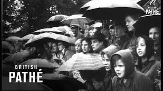 German News - Horse Show (1954)