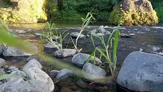 Endless Stream Serenity &ndash; Deep Night Flow for Inner Peace