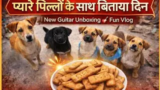 गली के छोटे पिल्लों को खिलाया बिस्कुट 🐶 | New Guitar Unboxing & Fun Vlog 🎸
