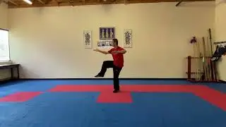 Demonstration of Chen Style Tai Chi Old Frame One  陈氏太极老架一路示范