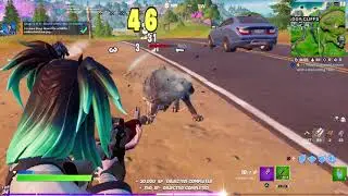 Emote within 10m of Wildlife - Fortnite