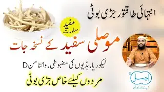 Musli Safed Ke Fayde | White Musli Benefits in Bones Strength, Likoria and Male Timing, Sperm Count