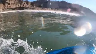 3, Pat the Rat at Wadell Creek, Santa Cruz County, Oct 2023