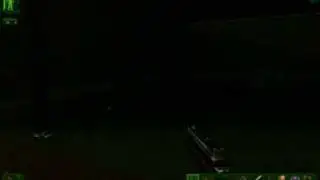 Killing pigeon