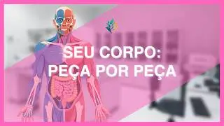Os 6 níveis de organização do corpo humano (com questões resolvidas)