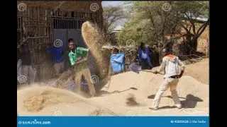 Applications of Winnowing: Adv and Disadv etc | Lesson 8 | Combined Science - Chemistry | In Shona