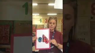 Phonics Sound 'sh'