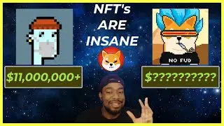 SHIB NFTs Could Potentially Be Very Valuable [ HERE'S WHY ] - SHIBOSHI / OSHIVERSE