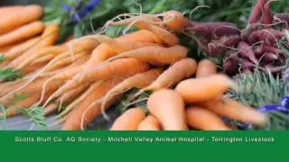 AG Month - Appreciation #15