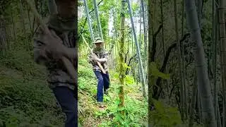 cool skill farmer cutting down trees #shorts