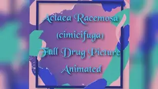 ACTAEA RACEMOSA Drug picture