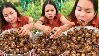 So yummy spicy snails fried | eating foods mukbang snails | Amazing foods | eat foods (part 1)
