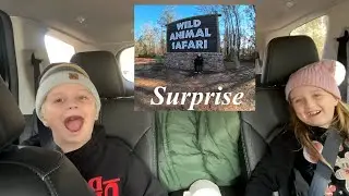 A Wild Safari Surprise! Followed by Trolley Christmas Fun In Pine Mountain Georgia! S13 E1
