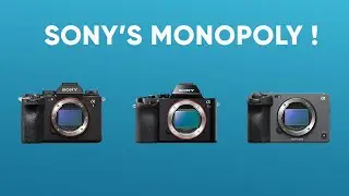 Sony Taking over Mirrorless Camera Market | Sony&rsquo;s Monopoly